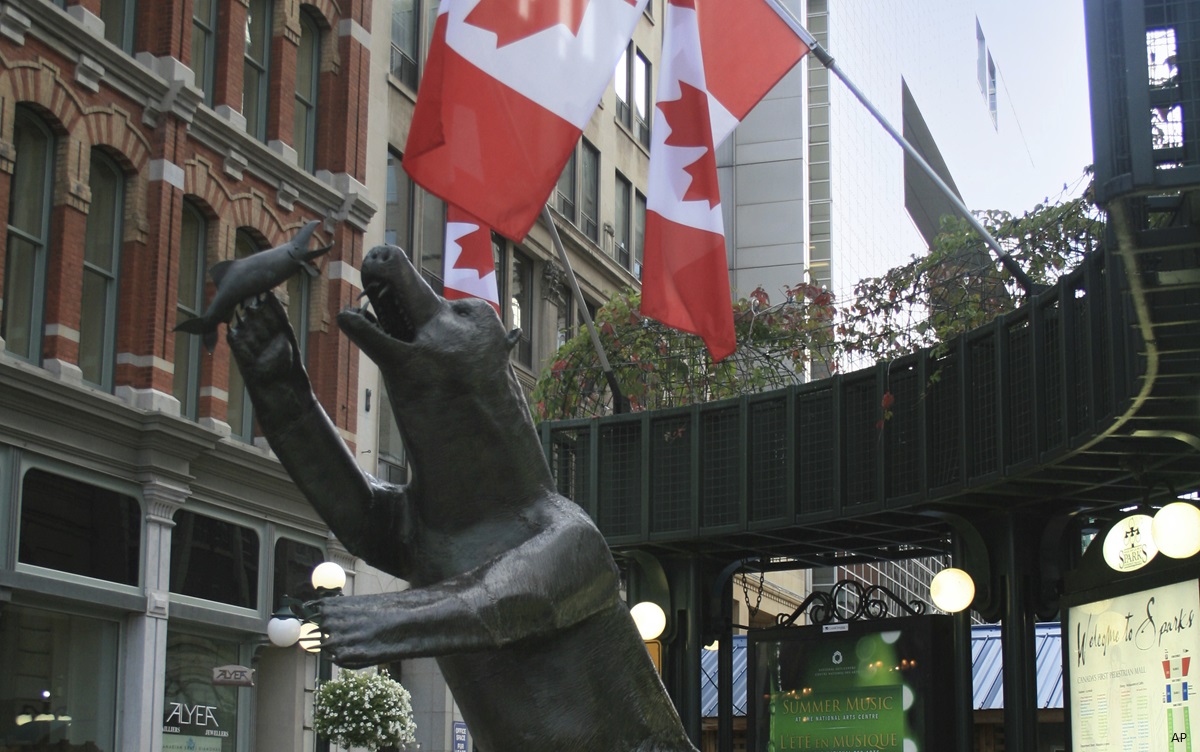 Bear reaching for fish in front of Canadian flag