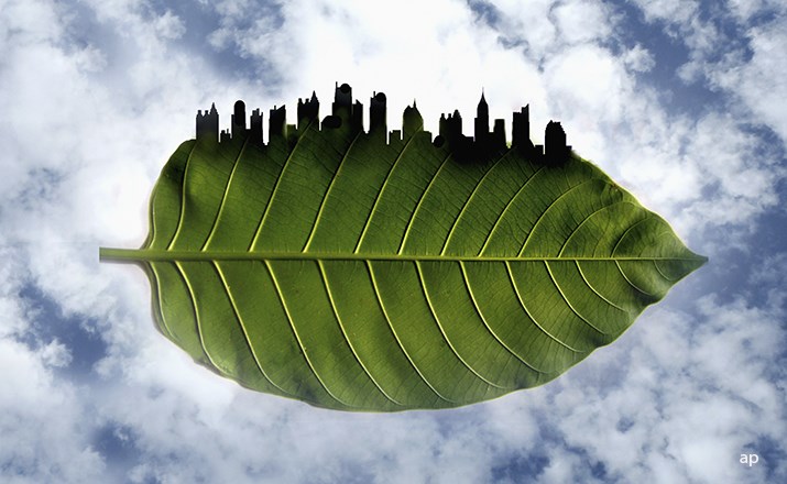Abstract graphic showing a city skyline atop a leaf